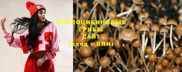 mix Богородицк